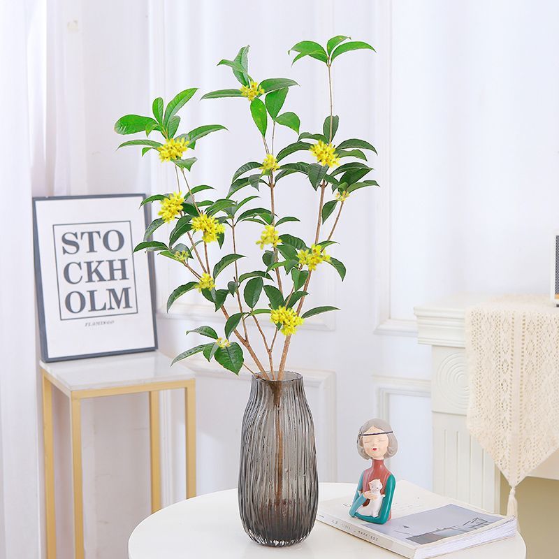 四季桂花懒人水培植物树苗室内好养易活花卉绿植盆栽 2棵