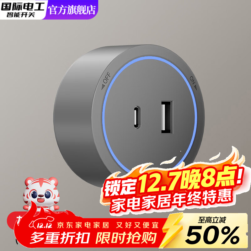 国际电工语音控制轨道插座家用厨房餐边柜移动带灯智能数显屏滑动插排明装 USB+Type-c蓝灯适配器