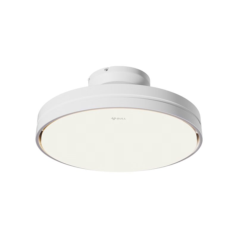 ��ţ��BULL����Ҷ���ȵ�GF19ATled���ε��ȵƴ�ң��