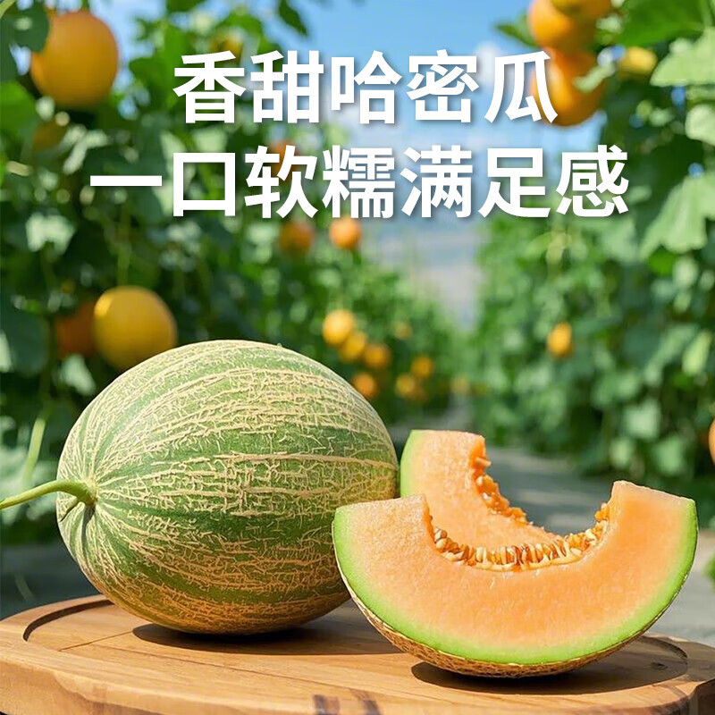 ںϹܹϱӦˮժ֭ ܹ51-3 19.9ʲժ ֭