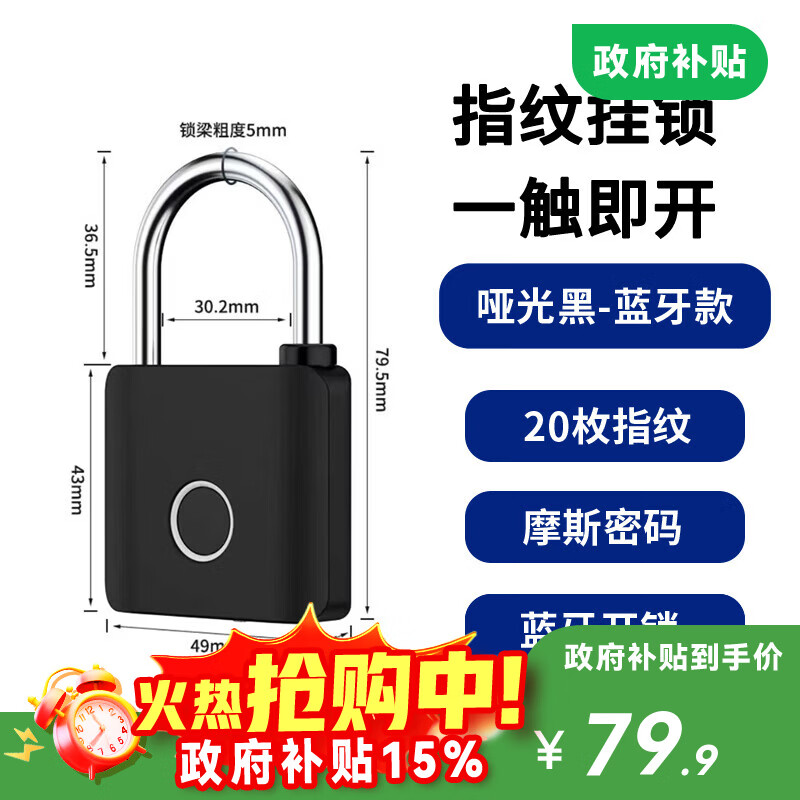 法雷斯顿 FALEISTON智能电子锁指纹挂锁家用小锁头抽屉锁学生寝室宿舍柜门储物防盗锁 哑光黑-蓝牙款