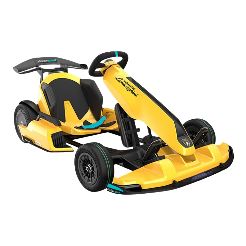 九號（Ninebot）電動卡丁車pro2蘭博基尼烤漆版9號成人兒童智能平衡車改裝漂移四輪網(wǎng)紅賽車新款 【新款43碼】卡丁車pro2蘭博基尼烤漆板