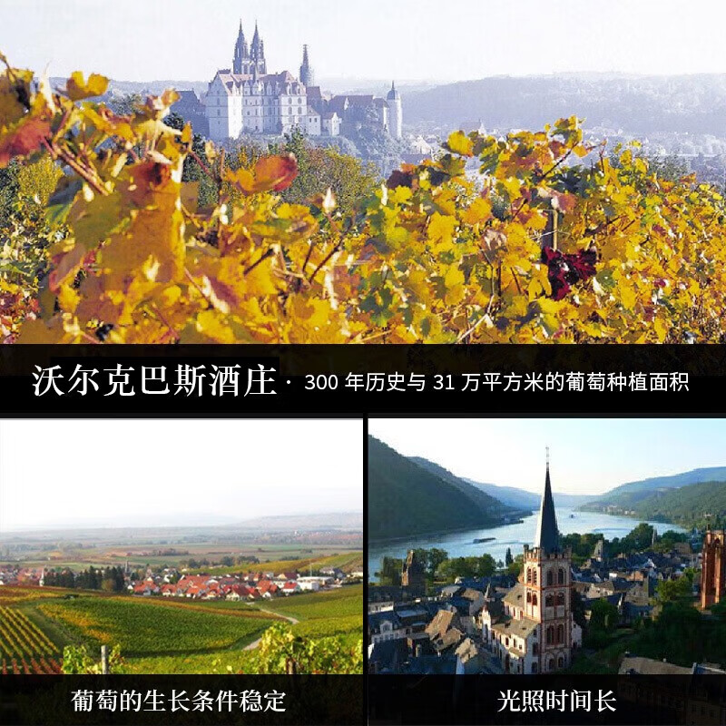 沃尔克巴斯(Volker Barth)红酒 德国原装进口高档葡萄酒 半甜型丹菲特单瓶750ml【浆果风味】