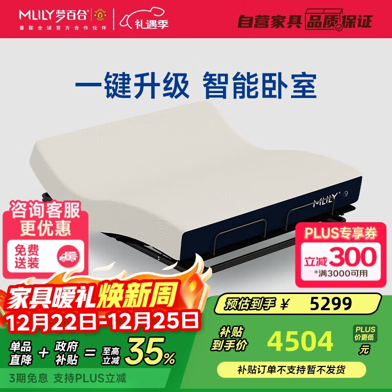 梦百合国民家居联名款智能床 可升降电动床无床头【M1+快充s】1.8米*2米