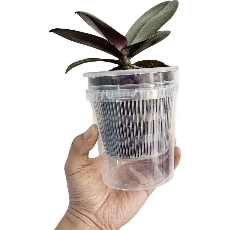 ���ڲ�����������͸�����������ظ���ˮ̦ר�û����������͸���ο�ʯ������ ��ƽ�׿ֱ��16cm����+���� 5��װ 17.89Ԫ