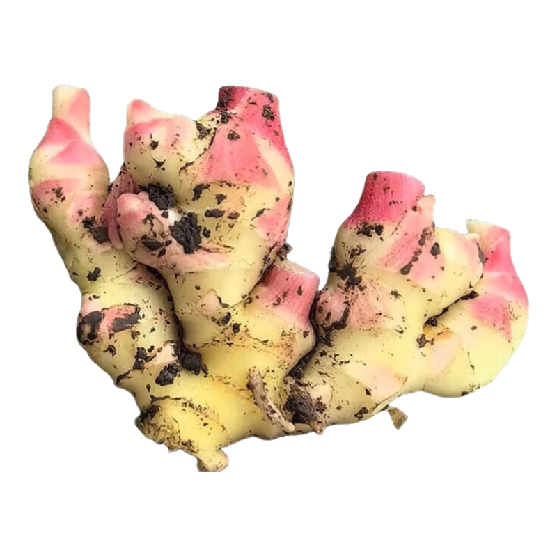 С��������С�ƽ� �������� 1����� 1.41Ԫ(����ȯ)С����֧��