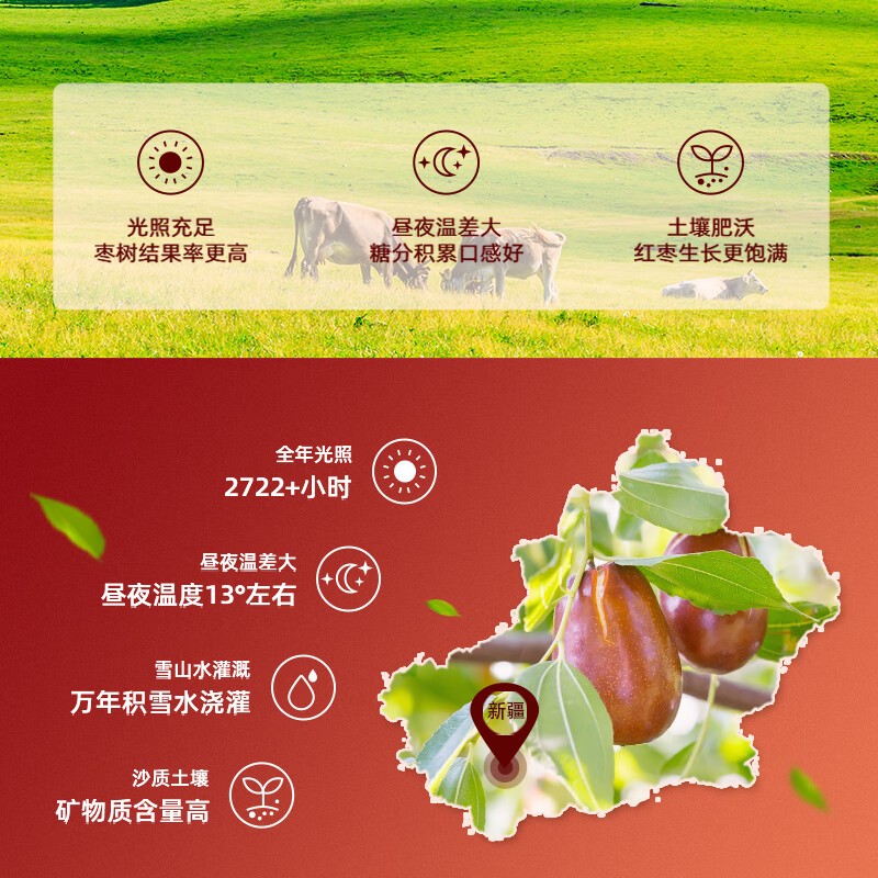 小贵人新疆若羌灰枣500g煲汤泡茶煮粥干吃零食 【家庭装】500g