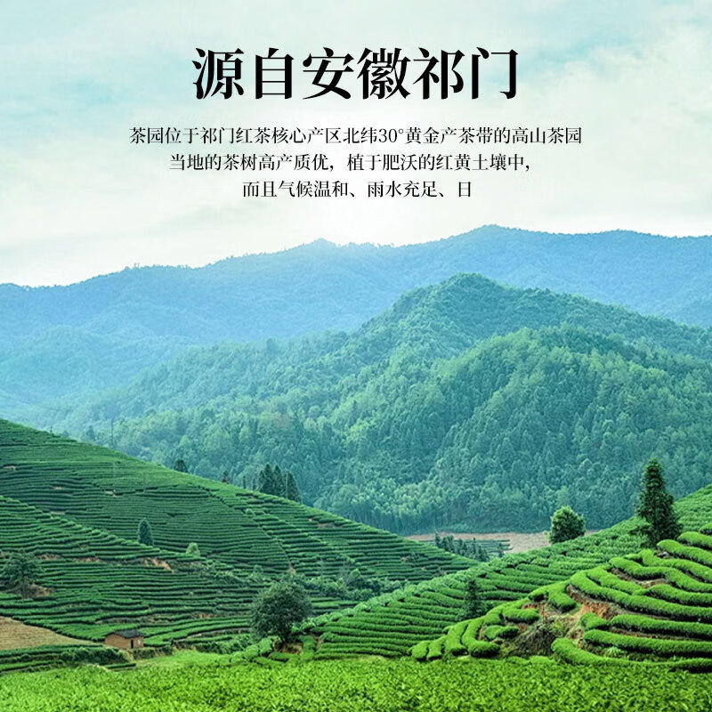 怀海茉莉花茶飘雪红茶特级浓香型茶叶礼盒装送人长辈年货过年送礼300g 万事兴龙正山小种罐装150g