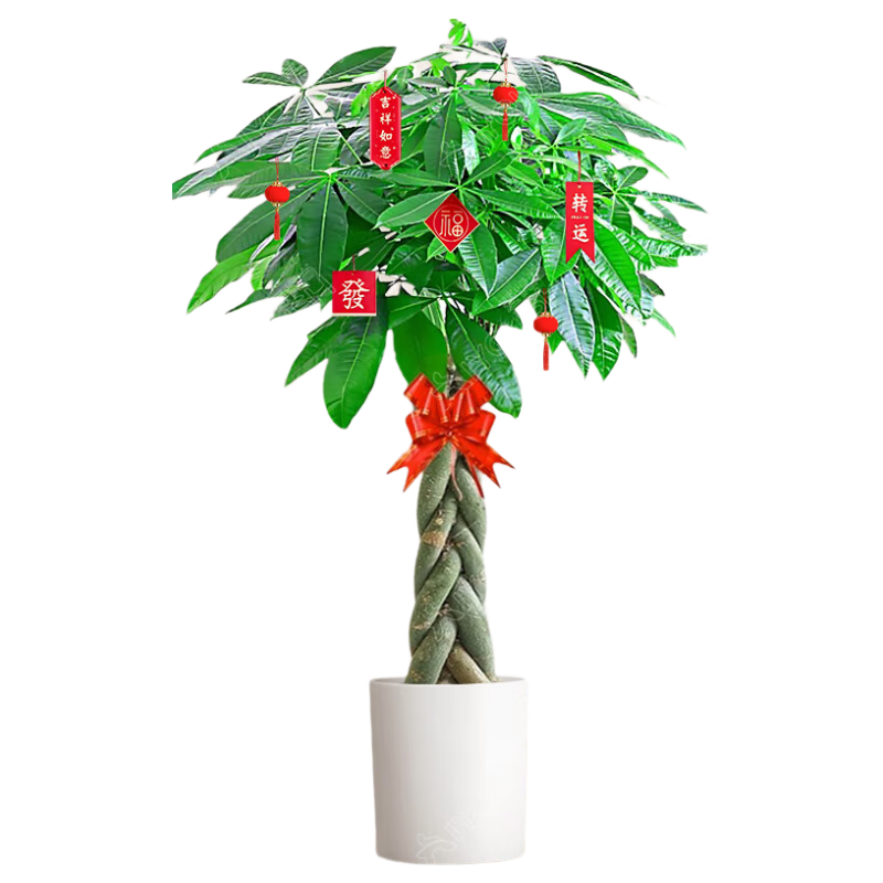 ���ڲ����������б��ӷ���������ֲ����ֲ��ҵ��Ǩ�����칫�����вƺ���Դͷֱ�� 168.8Ԫ