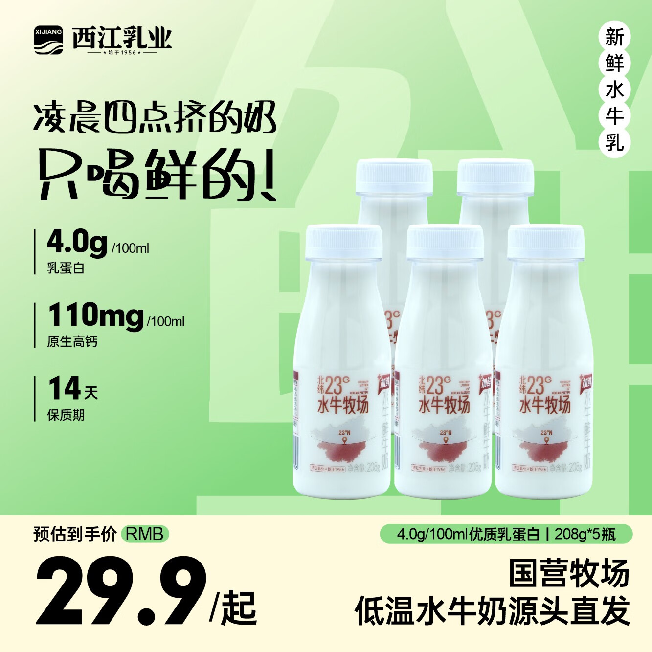 西江乳业单品包邮广西水牛奶低温鲜牛乳巴氏杀菌早餐奶源头直发208g*5瓶