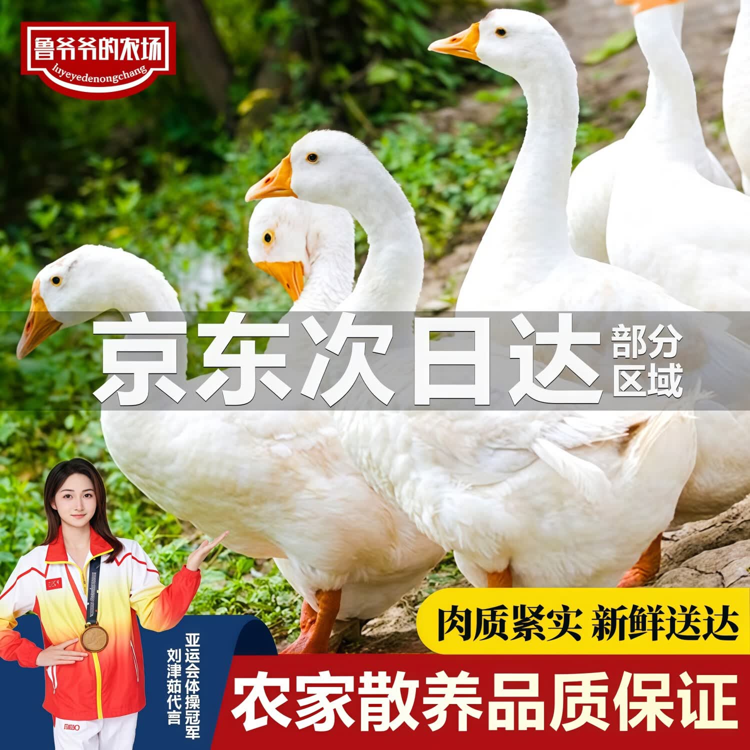 鲁爷爷的农场  清真散养仔鹅新鲜大白鹅放养现杀生鹅肉冷冻嫩鹅白条鹅非老鹅 现杀8-9斤仔鹅（保留心肝）