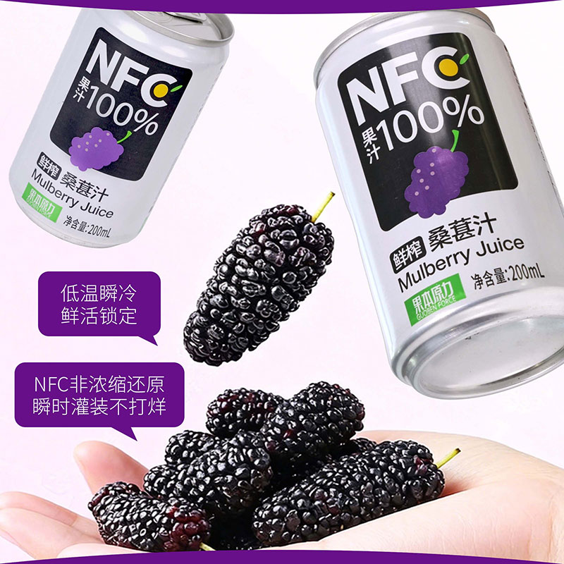 康之味NFC桑葚汁100%果汁饮料原榨桑葚果汁无添加非浓缩鲜果饮品 NFC桑葚汁200ml*8听