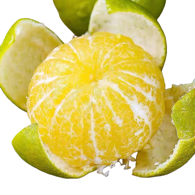 ���� �����ʵ۸� 5��װ ����50-55mm ����ˮ��Դͷֱ�� 4Ԫ/� 19.9Ԫ(����ȯ)