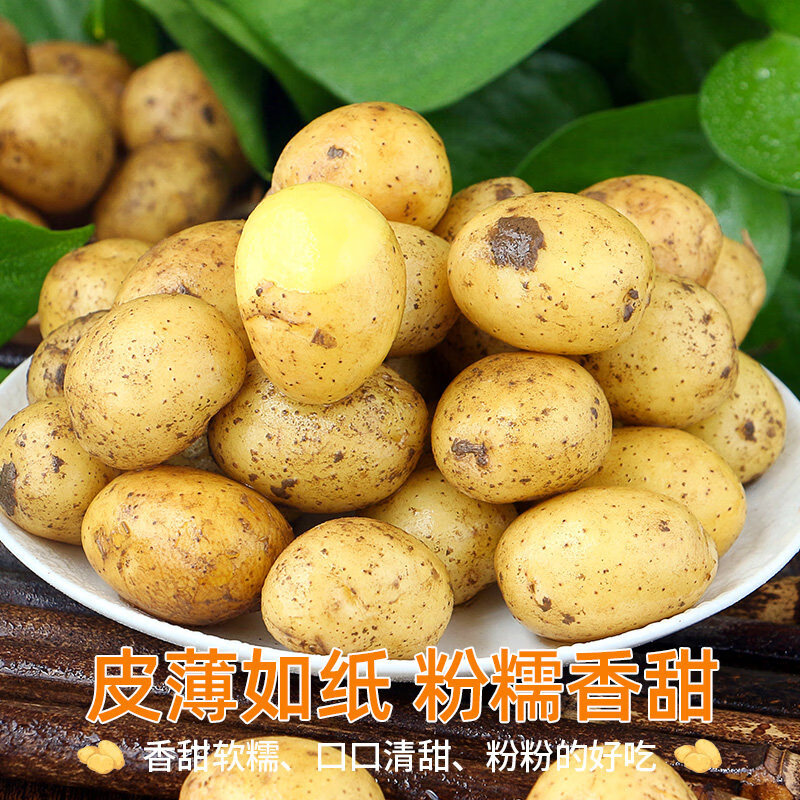 京鲜匠山东新鲜小土豆 现挖黄心马铃薯蔬菜 产地直发 净4.5斤 精品果
