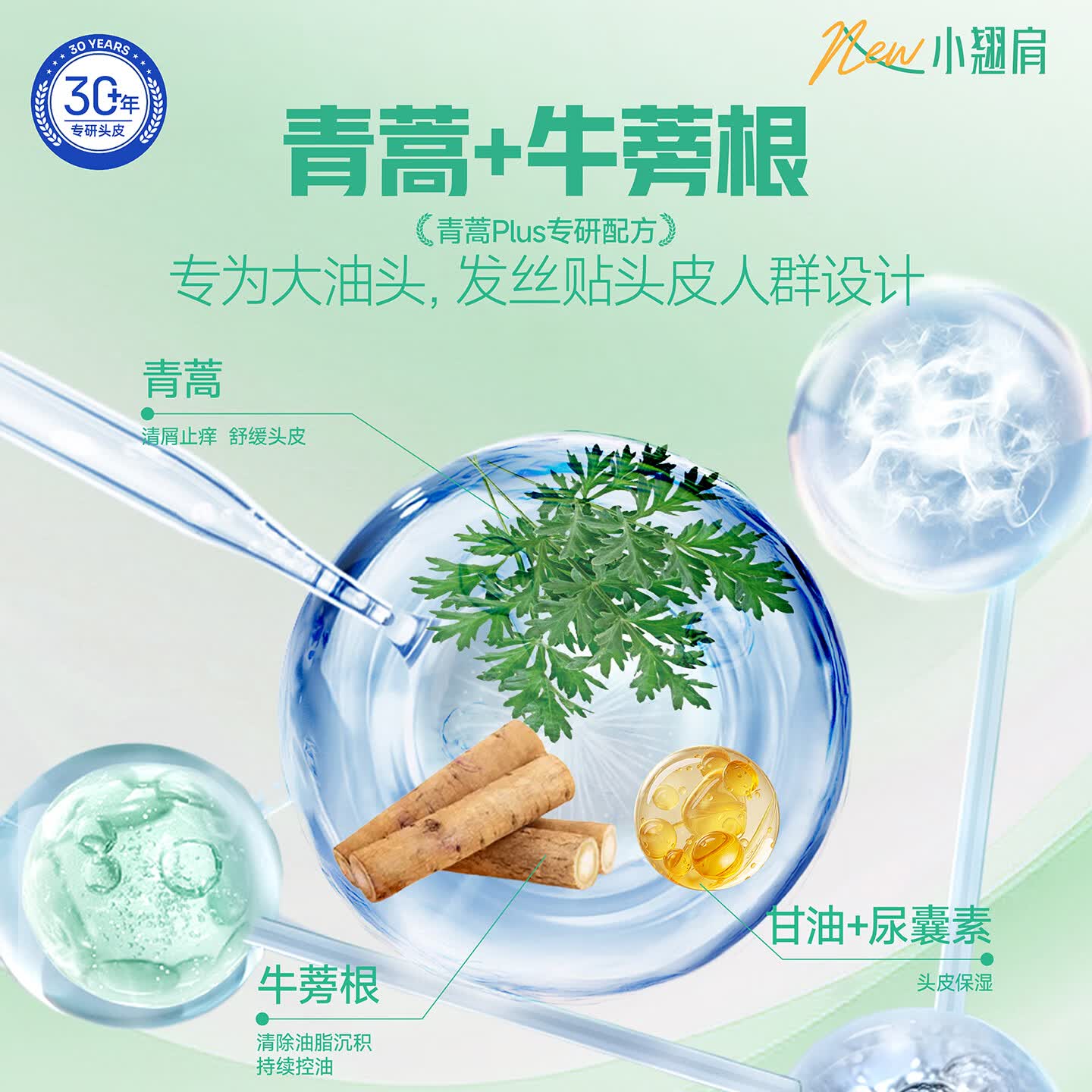 征服（ConQUER）控油蓬松止痒洗发水青蒿洗发露去油洗头水学生男女士不含二硫化硒 控油蓬松止痒洗发水 530ml
