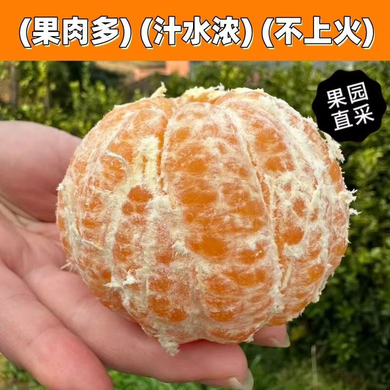 早熟新鲜椪柑丑橘子耙耙柑应季新鲜水果芦柑酸甜多汁桔子整箱包邮 带箱4斤 实惠装【单果130g+】