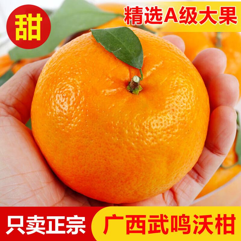 【果盘必备】精选广西武鸣沃柑 新鲜橘子当季新鲜水果酸甜风味 沃柑(花皮果)【净重8.5斤+60mm+】