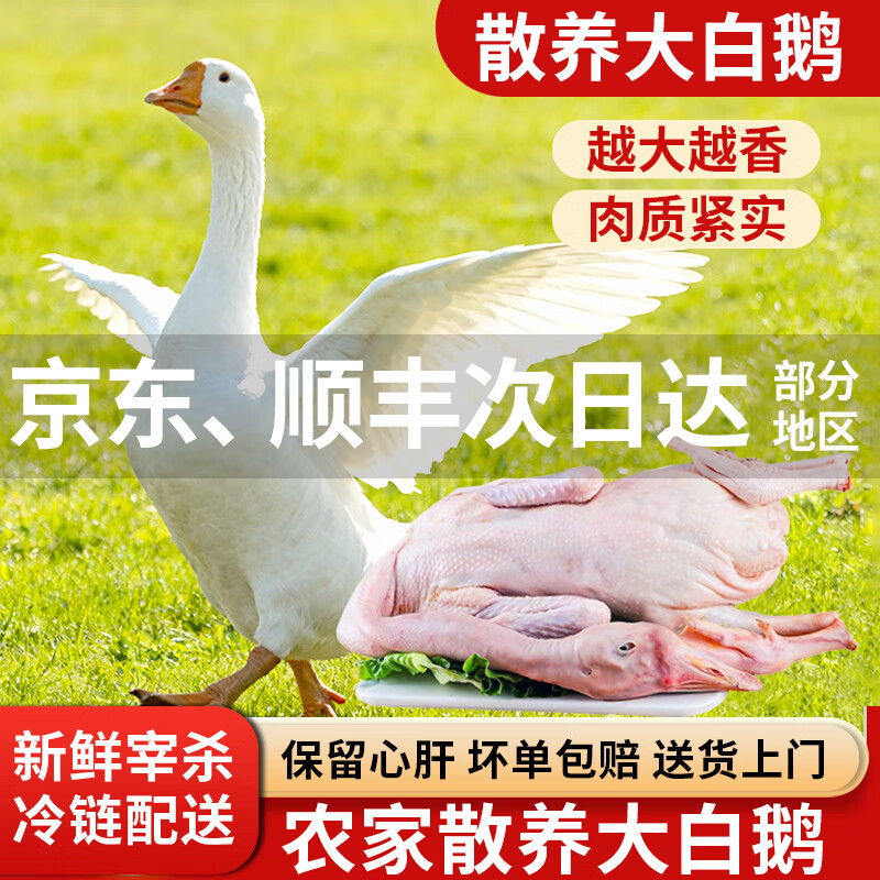 岽鲜大鹅生鲜农家散养大白鹅新鲜冷冻大鹅肉整只嫩鹅白条鹅年货送礼 大鹅 净重8-9斤
