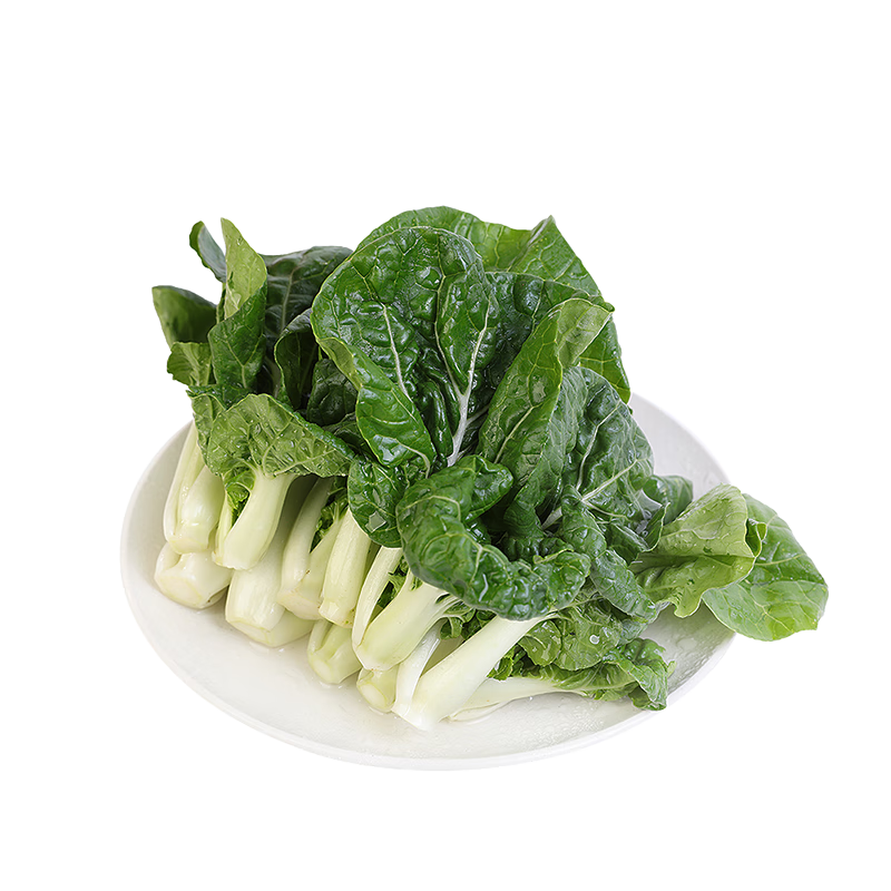 京鲜生(供港)奶白苗250g 鲜嫩清甜新鲜采摘火锅炒菜 广东源头直发