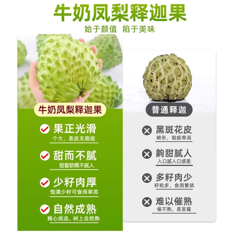 绿熊庄园释迦果番荔枝新鲜牛奶凤梨释迦青色果牛奶佛头果新鲜热带水果送礼 2斤装【单果250g+】净1.5斤