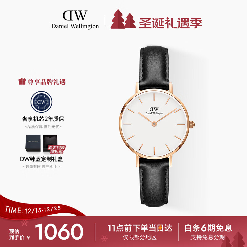 丹尼尔惠灵顿（DanielWellington）DW手表女 简约皮带女士腕表时尚欧美表节日礼物送女友DW00100230