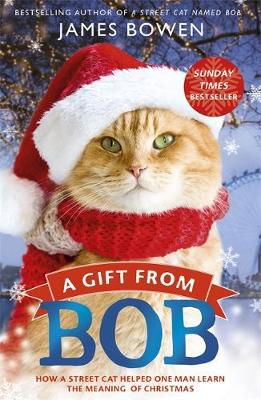 流浪猫鲍勃2：鲍勃的礼物 A Christmas Gift from Bob 一只名叫鲍勃的流浪猫
