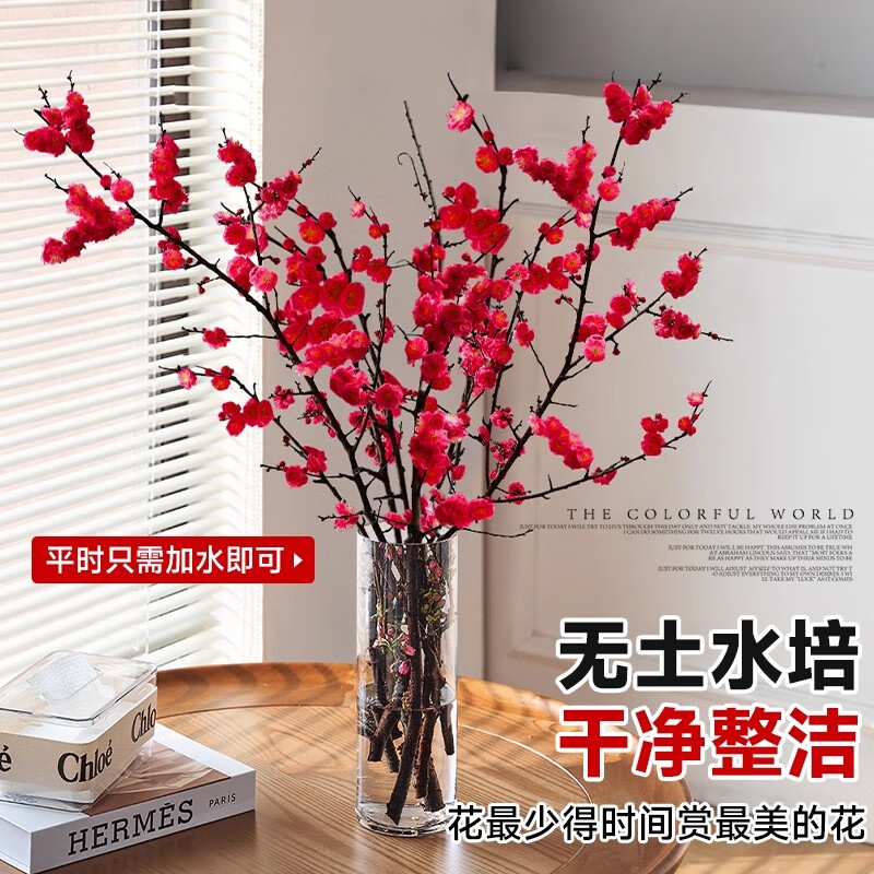 红梅干枝水培带花苞鲜花卉植物室内水养腊梅鲜切绿植盆栽 10支