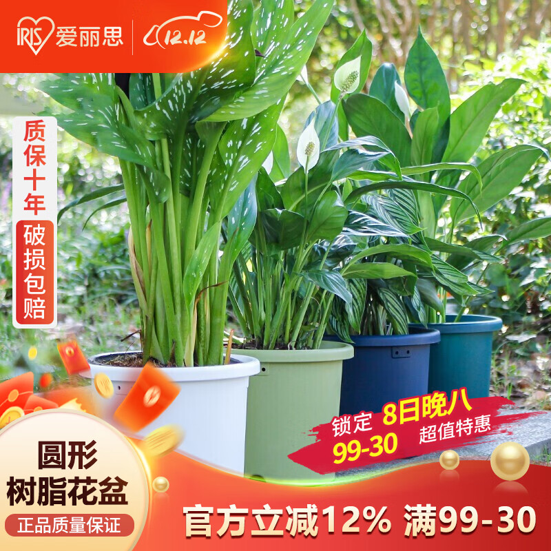 ˼Բ֬⻨ֲֻܰ˿ ̿ھ20.3cm 5.51Ԫ