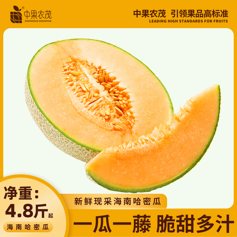 榴某某海南哈密瓜新鲜现摘网纹瓜脆甜多汁【产地直发】当季时令鲜果整箱 5斤带箱【净重4.8斤】2-4个装 京东折扣/优惠券