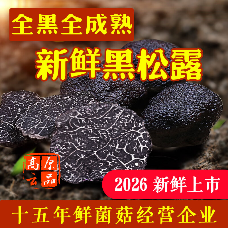 高原云品【全黑全成熟】黑松露新鲜 家宴美食  航空速达 全黑全成熟 2-3cm 500克（送礼品袋）