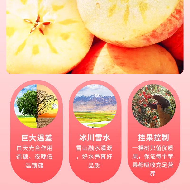 密园小农新疆苹果阿克苏冰糖心苹果新2025鲜当季应季时令丑苹果水果红富士 8斤 单果80-85mm【品质大果】