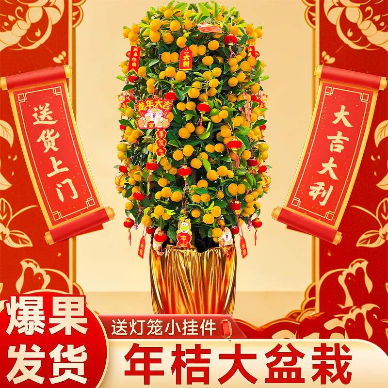 ���ڲ�����̾Ϊ��ֹ��������Կ�ʳ�ô��������������ڿ���������ֲ������������辰 ��������+������+�Ҽ�+������(80-100cm) 158Ԫ