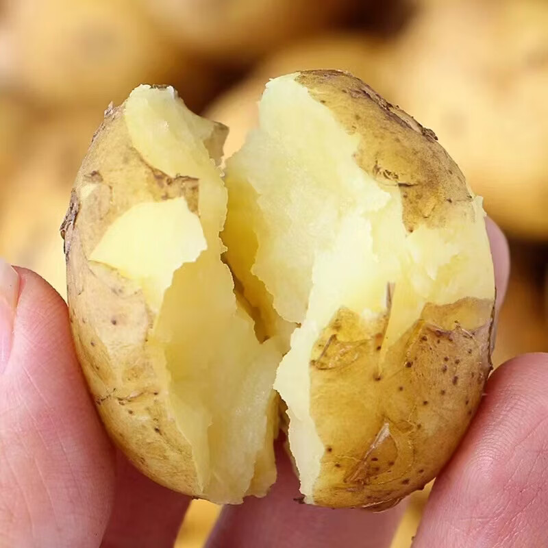 京鲜匠山东新鲜小土豆 现挖黄心马铃薯蔬菜 产地直发 净4.5斤 精品果