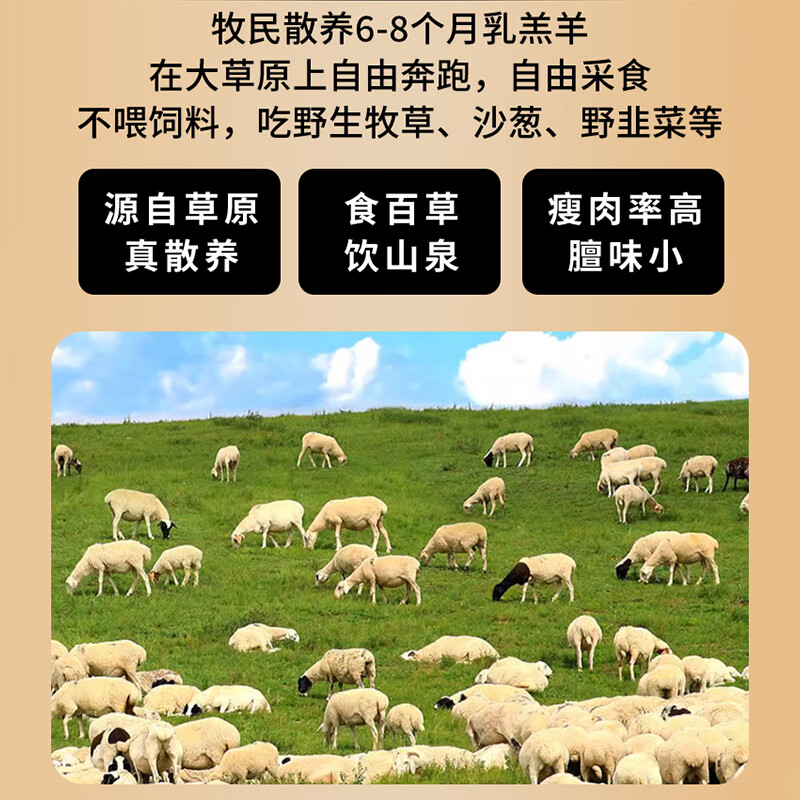 凘梦沅内蒙古羊脊骨切块原切羊脖子切段清真羔羊腿肉骨棒烧烤生鲜冷冻  羊脊骨整根切段6斤 清真苏尼特乳羔羊
