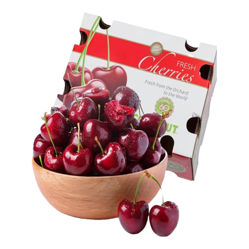 ���������ӽ���ԭ��XL ����10�� 125.61Ԫ