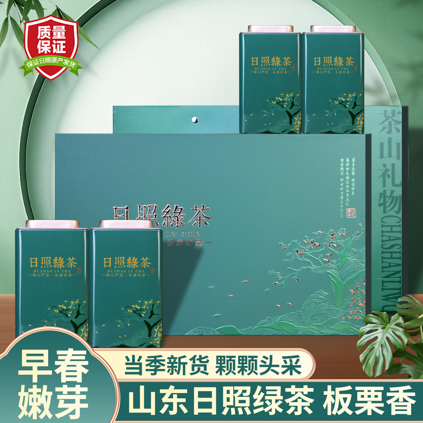雪极春日照绿茶2025新茶山东特产级茶叶礼盒高档送礼送老丈人礼盒装茶礼 头采好茶礼盒200g*1