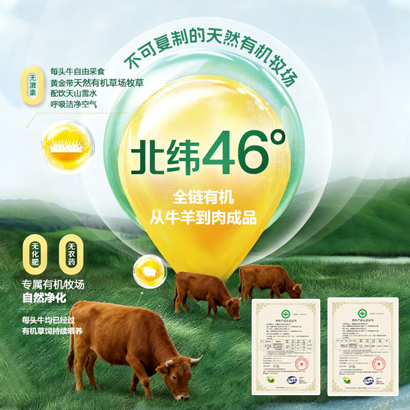 彩云牧歌【京东物流】新疆有机牛腩肉 牛肉 牛腱子 筋头巴脑 火锅烤肉 有机筋头巴脑 2斤