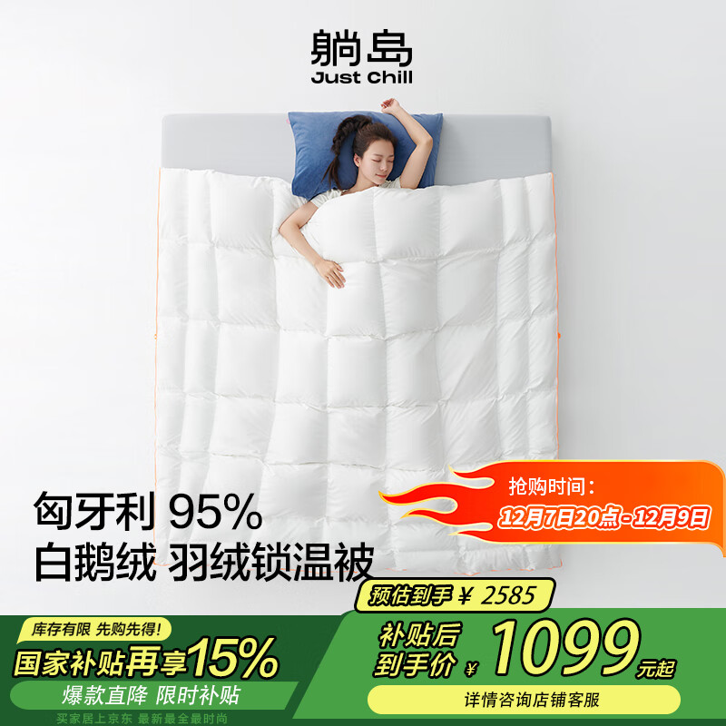 ɵ ȫA95%׶ޱ  845g 220*240cm