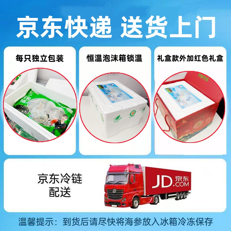 元龙岛即食海参 大连海参 辽参 长海县野生海参底播刺身 鲜食海参礼盒 鲜食海参礼盒1斤 6~10只