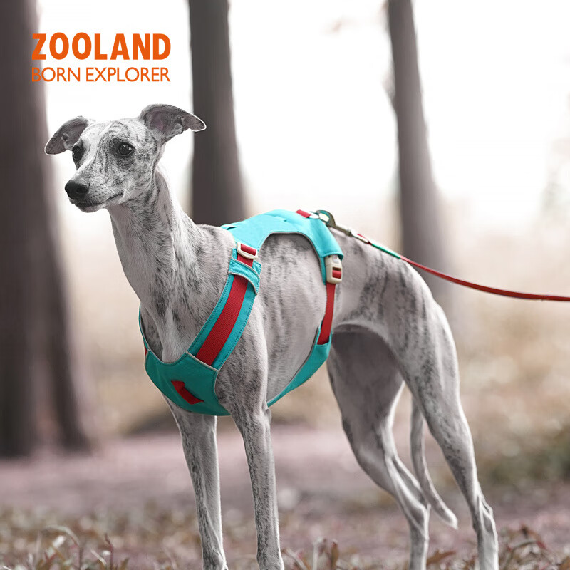 OIMG狗狗胸背牵引绳子遛幼小中大型犬泰迪柯基比熊边牧博美用 西瓜粉【胸背】 XXS码(胸围32-40CM)建议4-8斤