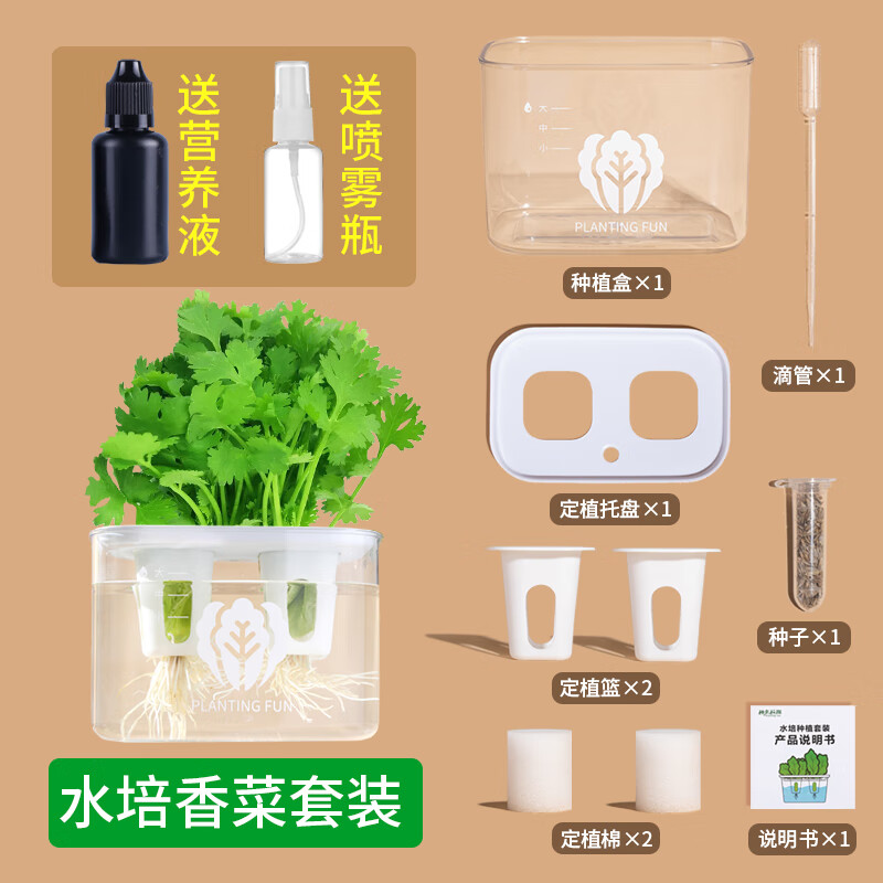 ll儿童水培生菜种植观察盒子无土栽培器皿幼儿园种菜diy种植玩具 水培