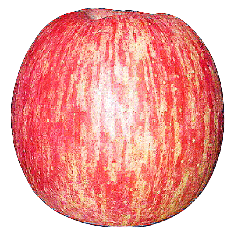 堡鮮生正宗陜西洛川蘋果紅富士脆甜多汁時令新鮮孕婦水果生鮮丑蘋果整箱 75-80mm帶箱5斤（凈重4.5斤）