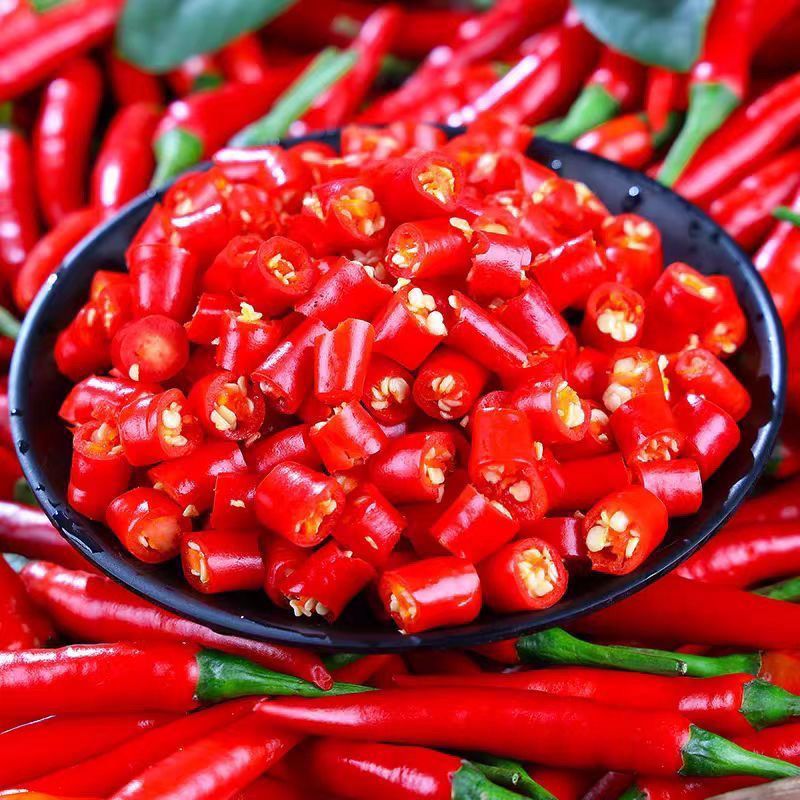新鲜采摘贵州小米椒餐饮巨辣朝天椒指天椒特辣小米辣可做泡椒剁椒 品质尝鲜【巨辣1斤】爆辣小米椒
