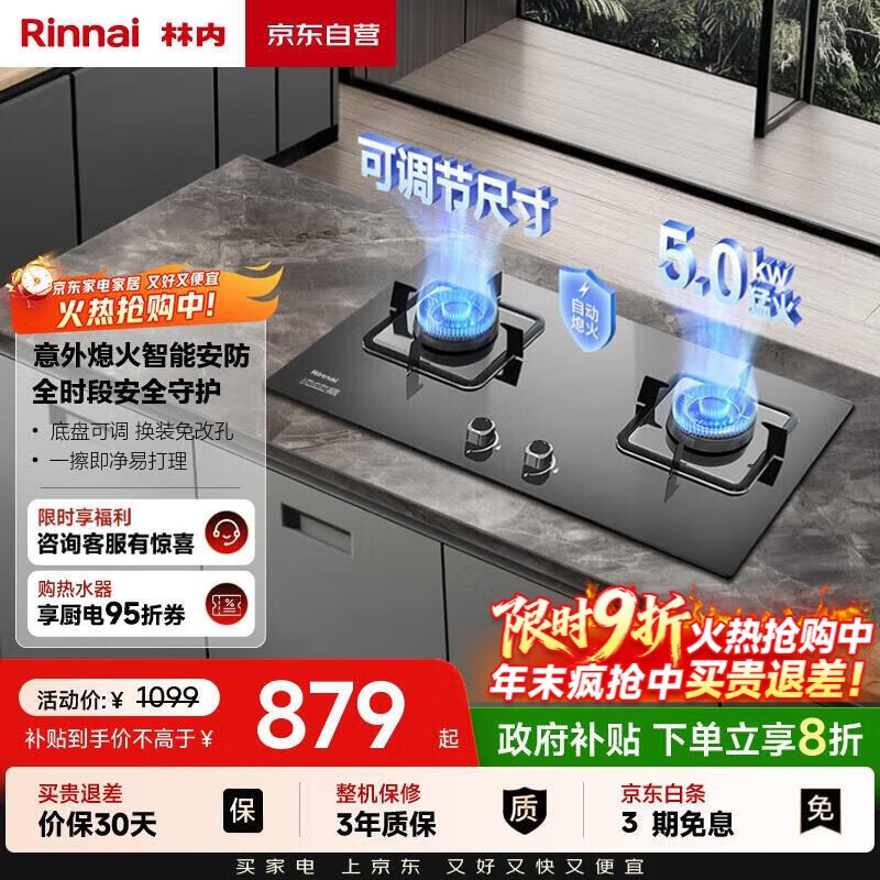 林内（Rinnai）燃气灶【家电国家补贴20%】5kW大火力双眼猛火灶具家用嵌入式钢化玻璃天然气一级能效 2E07M