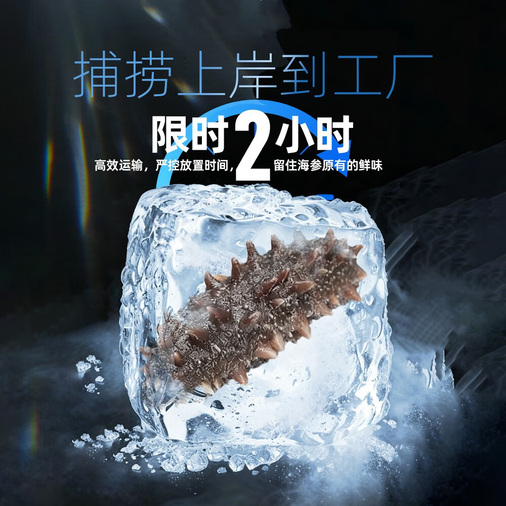 大宴岛大连有机冷冻海参1斤简装即食独立包装官方旗舰店固形物80% 2斤/20-24头礼盒