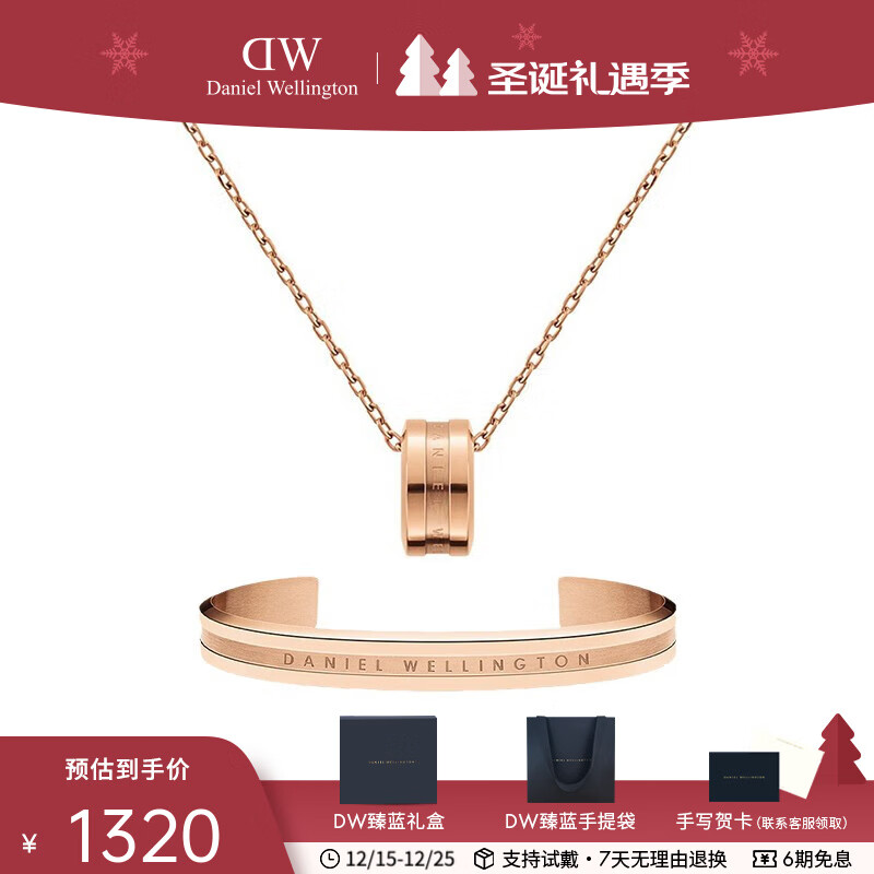 丹尼尔惠灵顿（DanielWellington） dw项链 经典圆环可调节延长时尚饰品 生日礼物送女友 DW004001