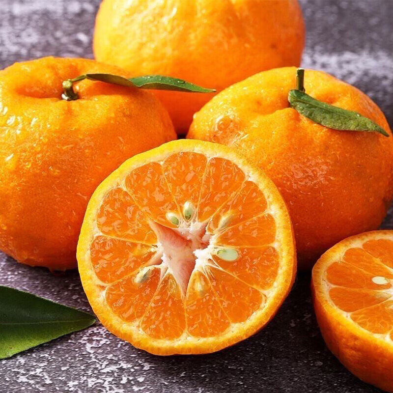 早熟新鲜椪柑桔子耙耙柑新鲜水果芦柑甜当季桔子产地直发 净重4斤【实惠装】单果130克+