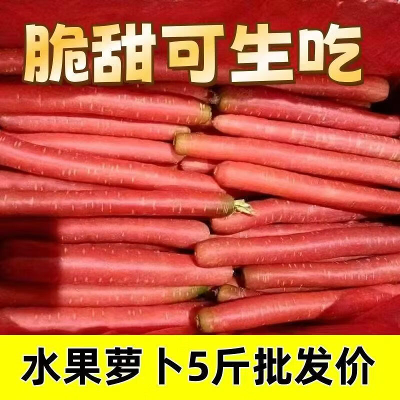 秦品堂陕西沙地水果红萝卜 新鲜蔬菜现挖脆甜胡萝卜红皮 5斤精品装