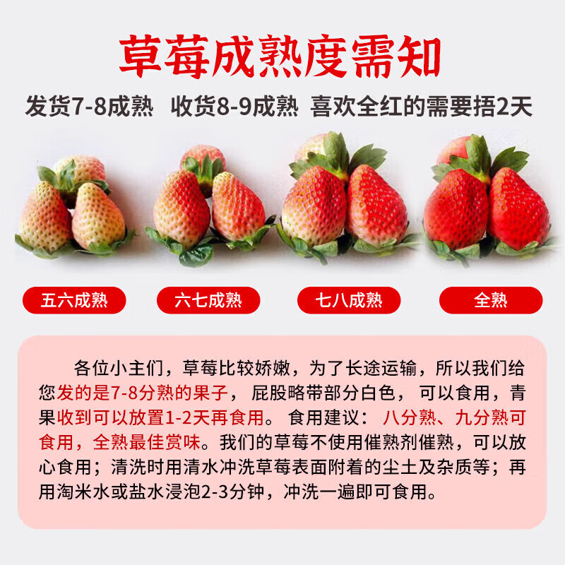 东鲜丰四川大凉山草莓新鲜草莓水果高山露天种植红颜草莓现摘现发 【250克/20-24枚】*2盒装