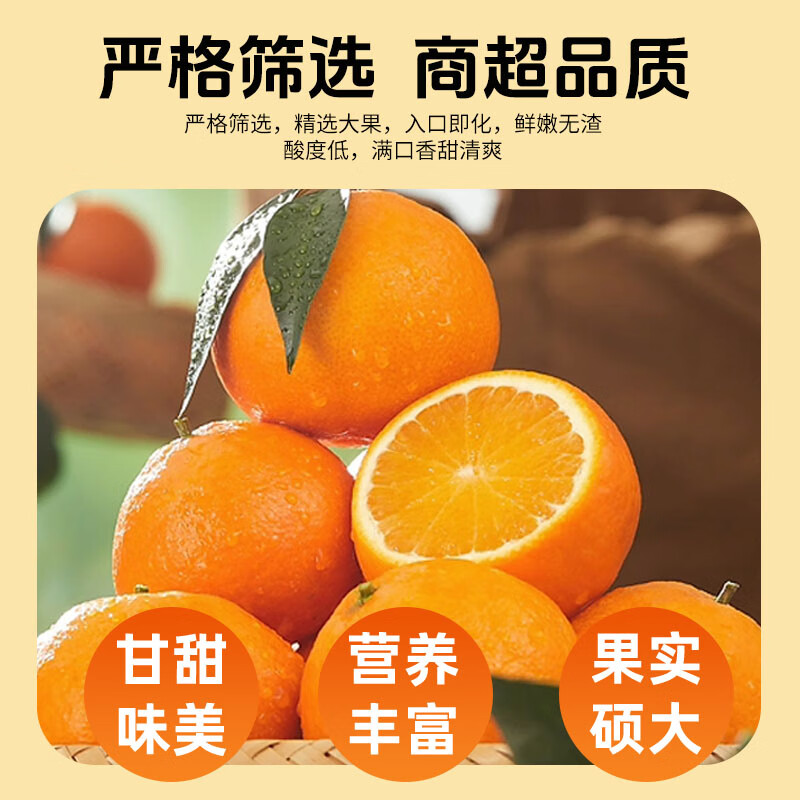 馋果野精品爱媛果冻橙新鲜橙子水果甘平产地直采当季水果时令整箱0催熟 精品巨无霸【10颗礼盒装】